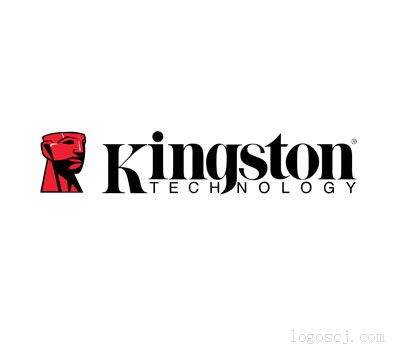 金士顿 KingstonLOGO